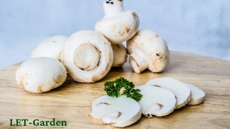 How Do You Cook White Button Mushrooms? 