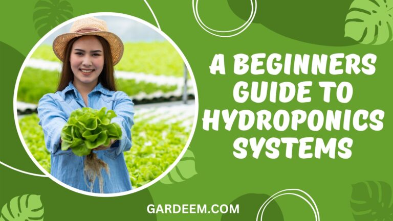 A Beginners Guide To Hydroponics Systems