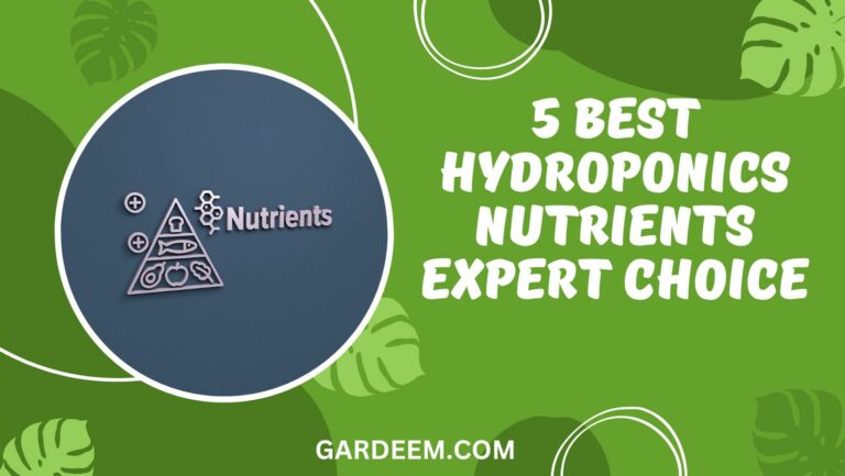 Best Hydroponics Nutrients: 5 Top Choices For Your Plants