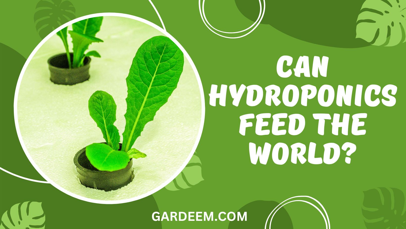 Can Hydroponics Feed The World