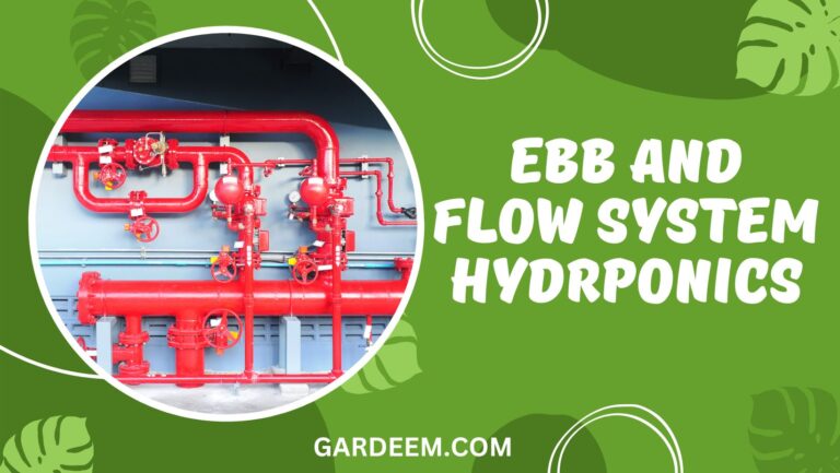 Ebb And Flow System hydroponics 101