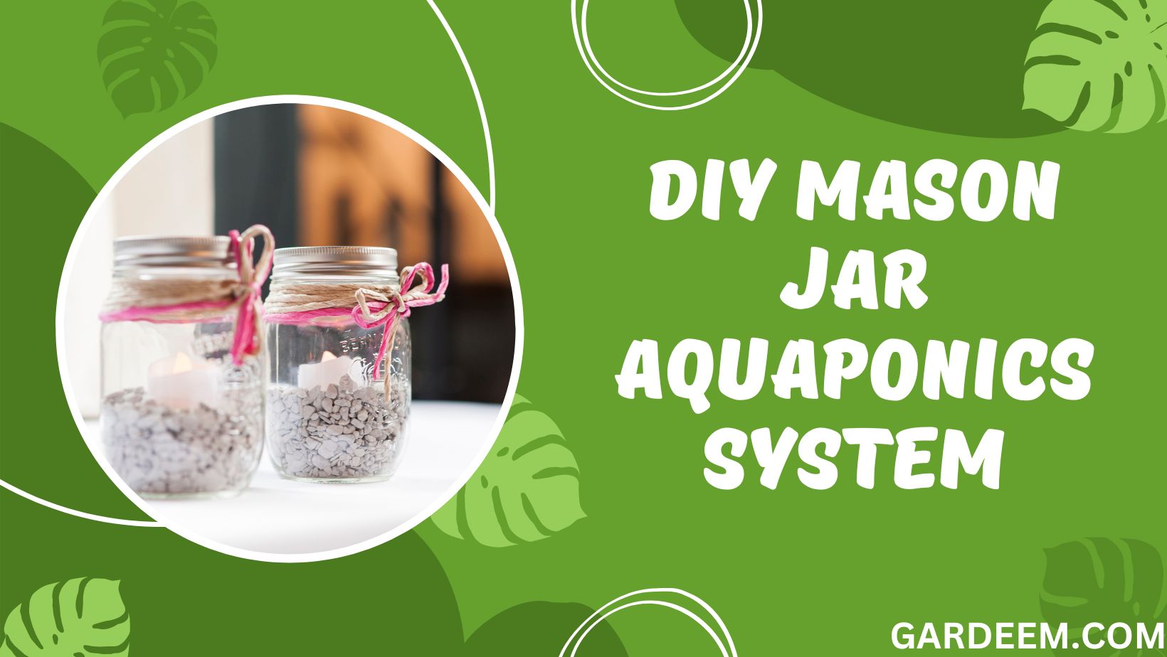 How To Build Your Own Mason Jar Aquaponics System