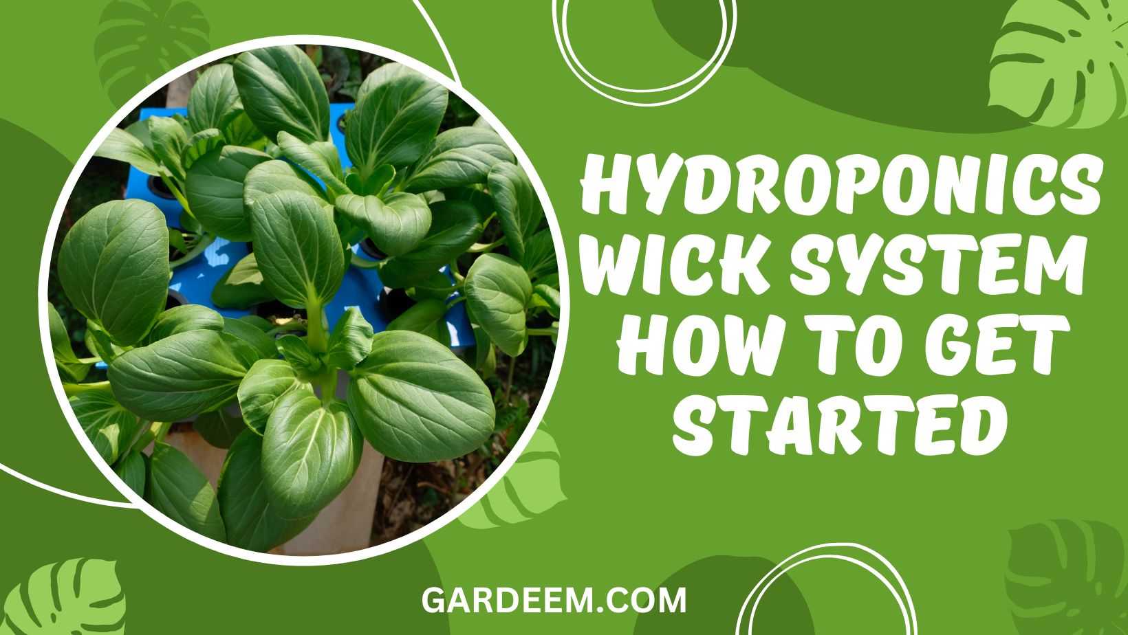 Hydroponics Wick System - How To Get Started