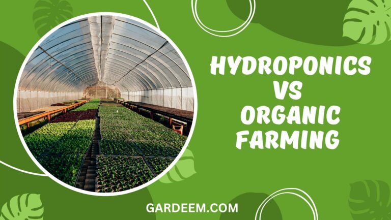 Hydroponics vs Organic Farming: Ultimate Comparison