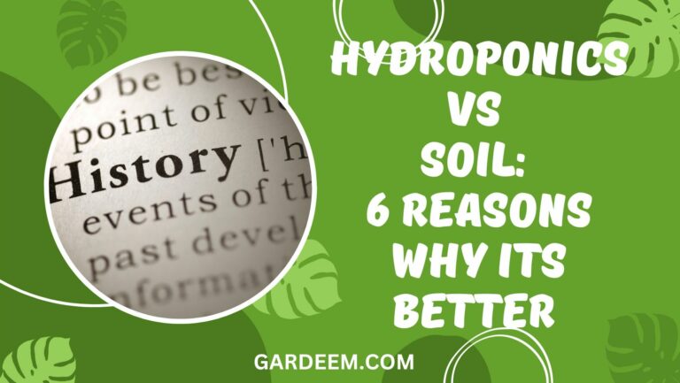 Hydroponics vs Soil: 7 Reasons Hydroponics Beats Soil Gardening