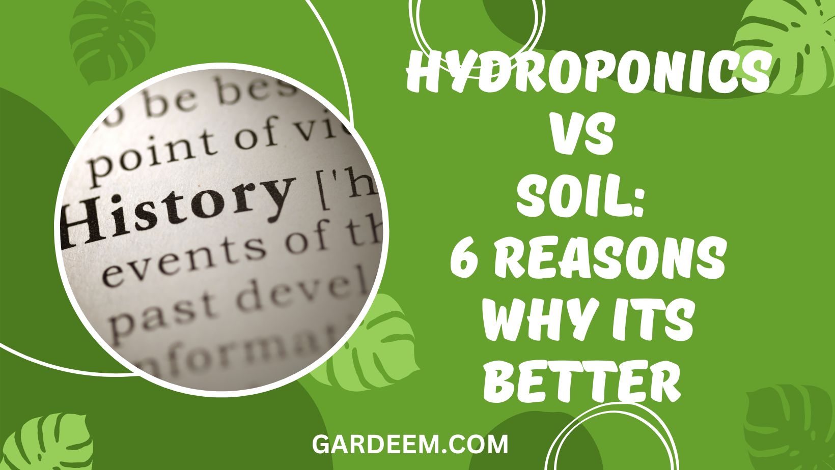Hydroponics vs Soil 6 Reasons