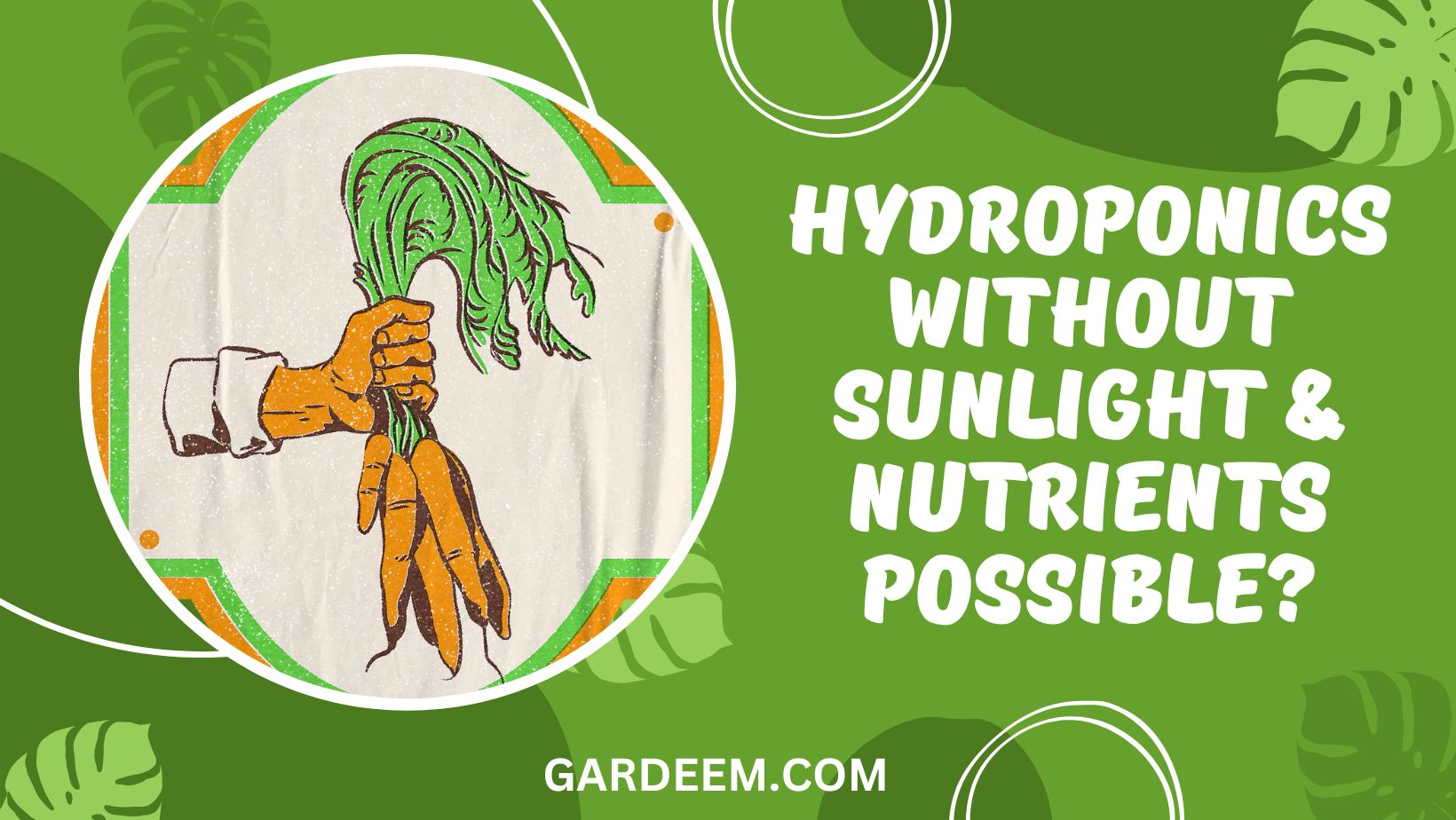 Is Hydroponics Without Sunlight and Nutrients Possible