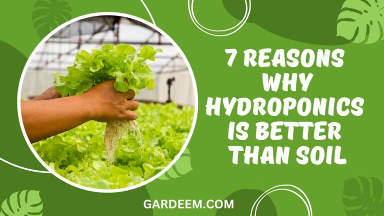 7 Reasons Why Hydroponics Is Better Than Soil