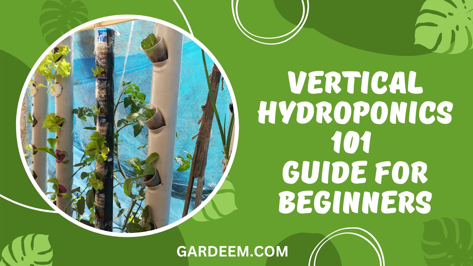 Vertical Hydroponics 101 For Beginners