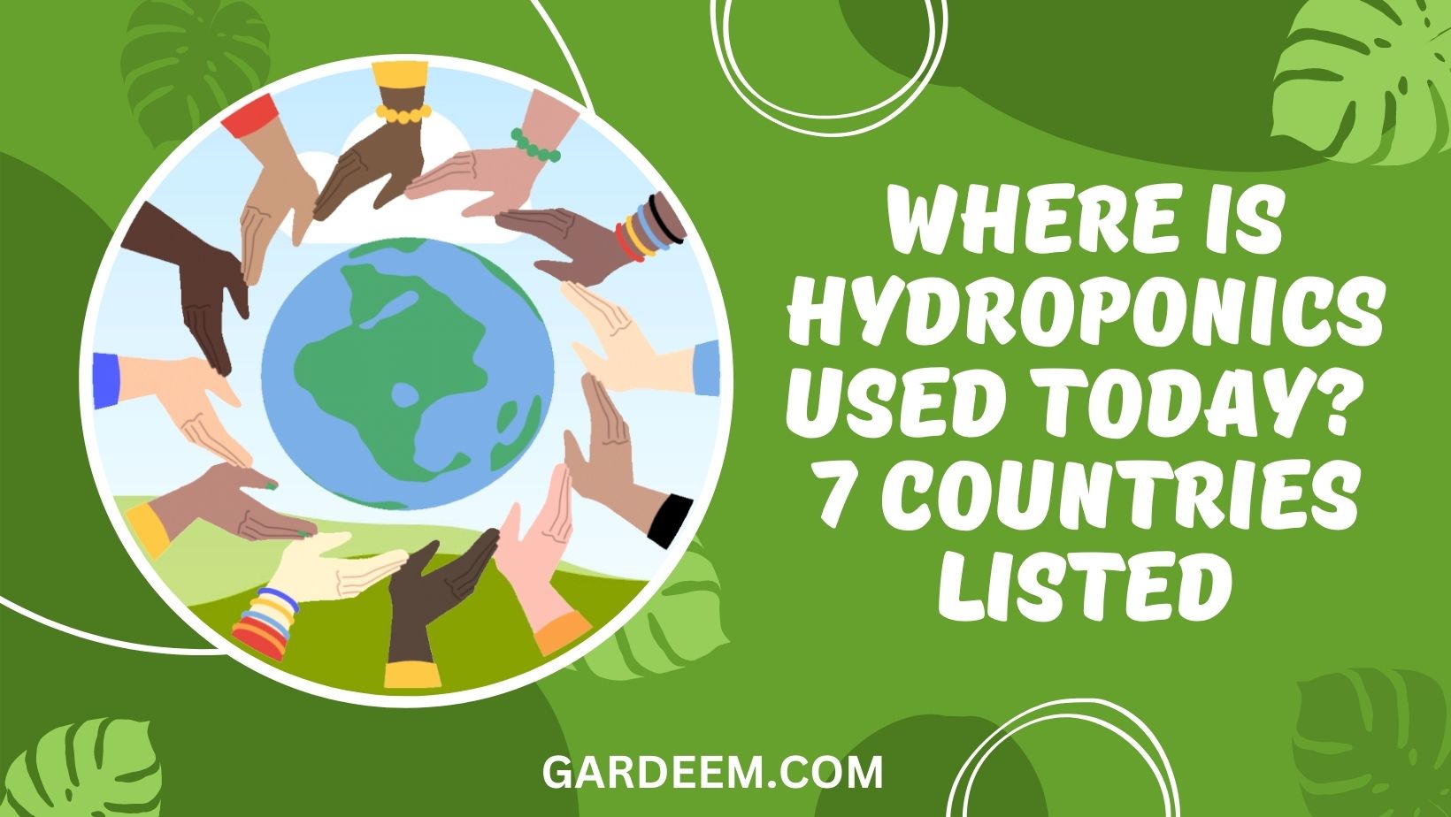 Where is Hydroponics Used Today 7 Countries