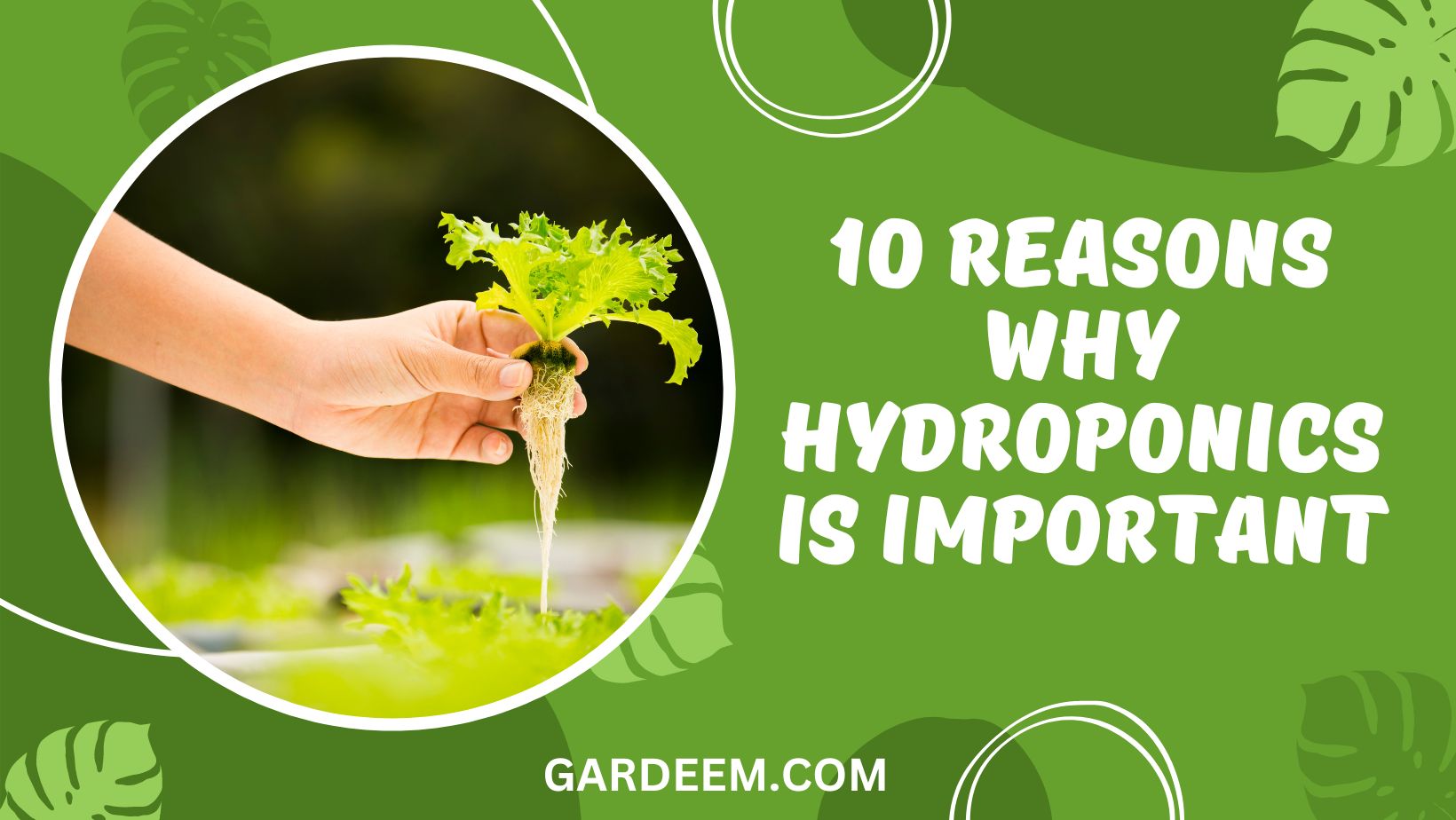 Why Hydroponics Is Important