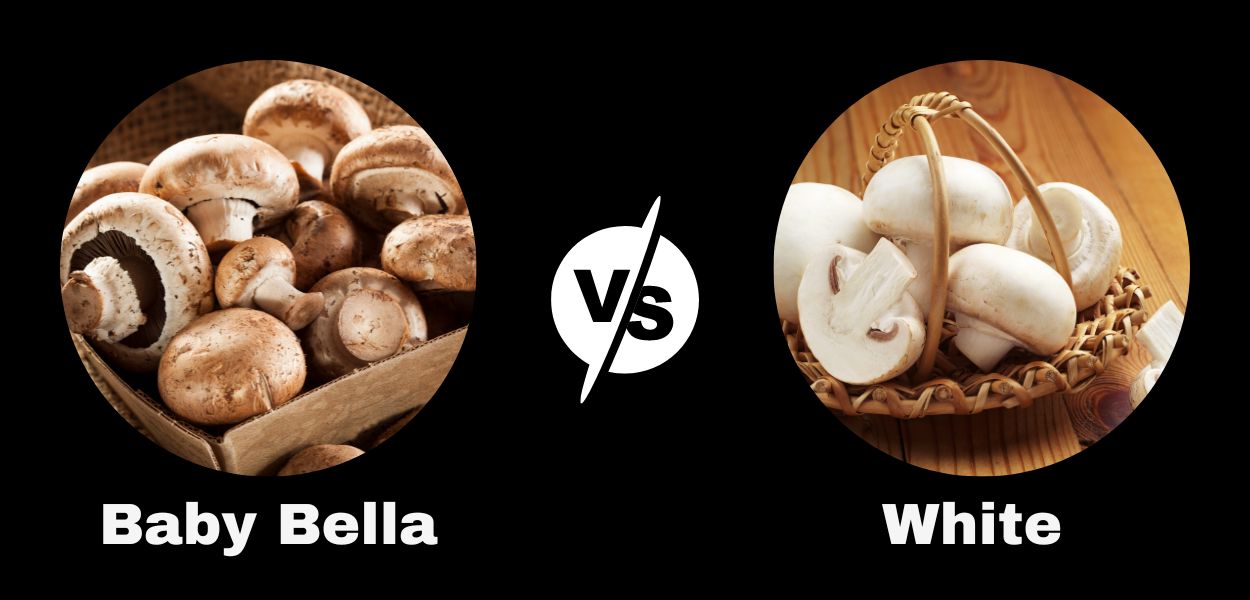 Baby Bella vs White Mushrooms