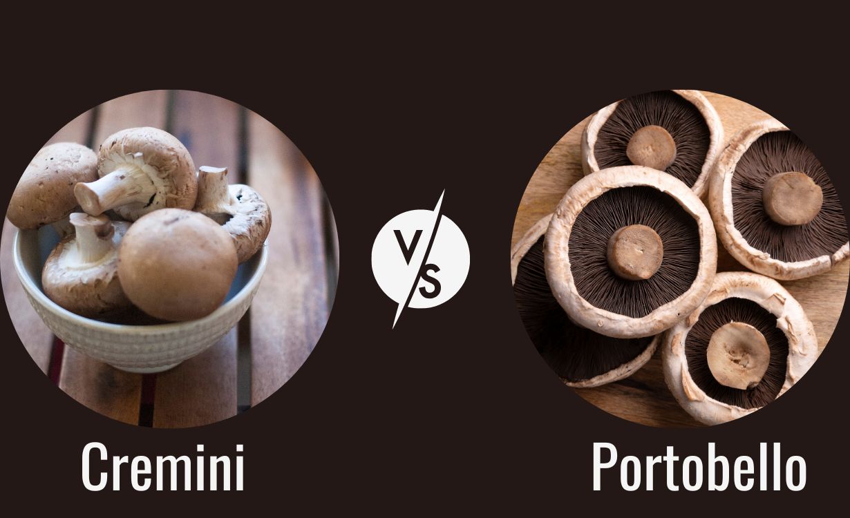 Cremini vs. Portobella Mushrooms