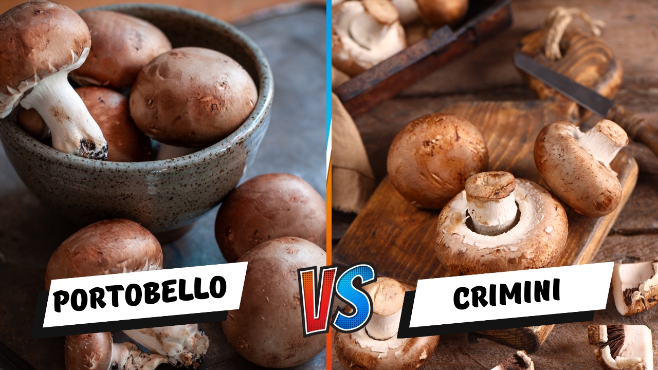Crimini Mushrooms Vs Portobello