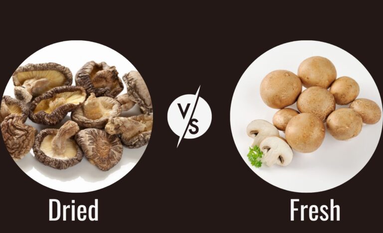 Dried vs Fresh Mushrooms | An In-Depth Look