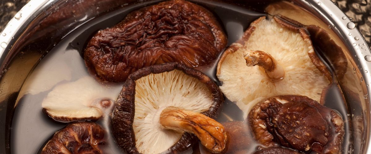 How Long Do Freshly Picked Shiitake Mushrooms Last?