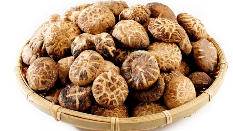 How Many Dried Shiitake Mushrooms in An Ounce?