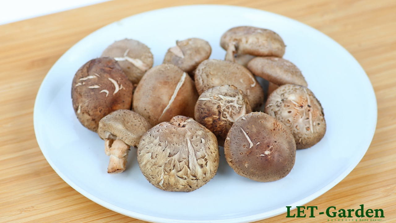 How to Store Shiitake Mushrooms