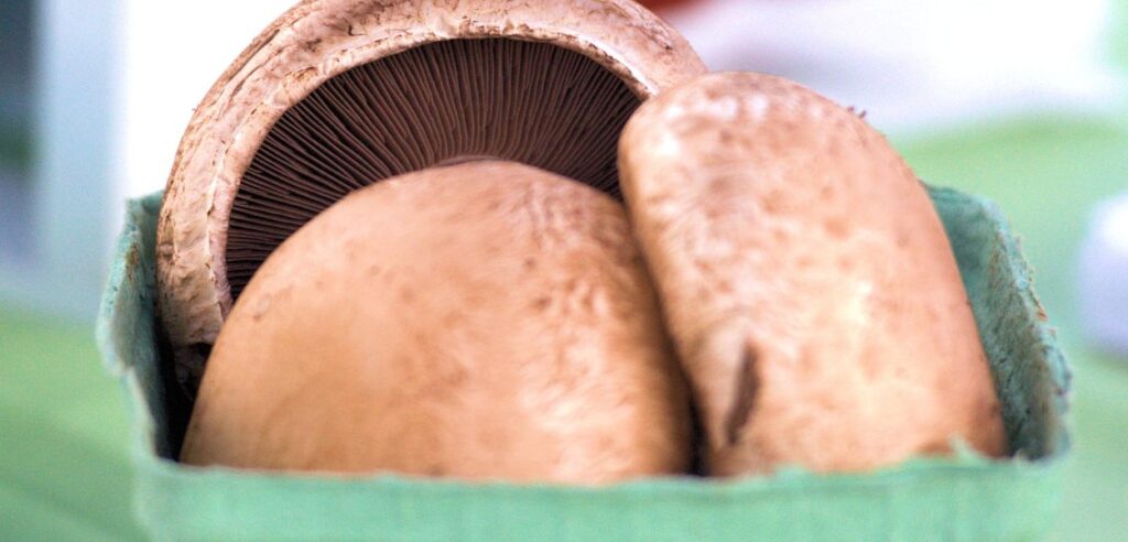 Portabella Mushroom vs White Mushrooms