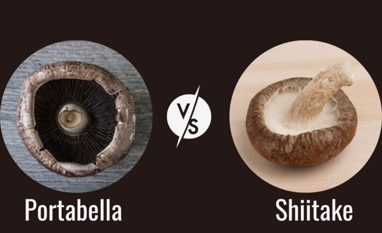 Shiitake vs Portabella Mushrooms | An In-Depth Comparison