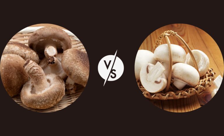 Shiitake vs White Mushrooms Nutrition | An In-Depth Comparison