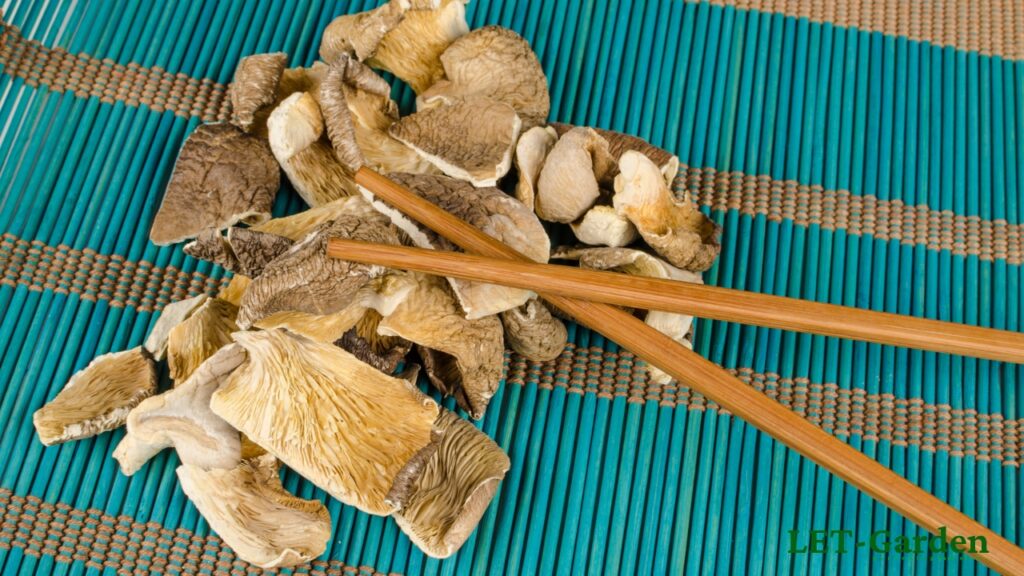 What Can You Make with Oyster Mushrooms?